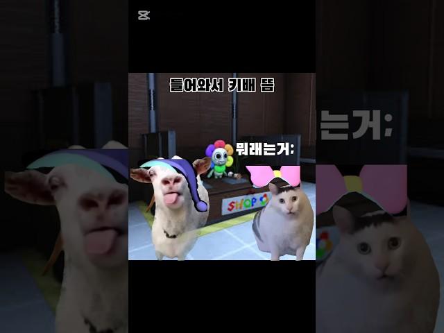 뇌 빼고 만듦 #고양이밈 #dandysworld #댄디의세계
