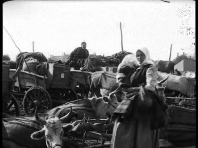 Turkish Troops  & Civilian Refugees In Balkan War (1912)