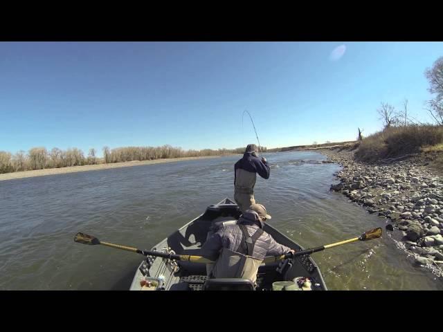 Yellowstone Streamer Fishing Spring 2013 | Wild Angling