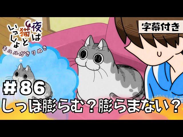 猫のキュルガ【夜は猫といっしょ:86夜目】(字幕付き)