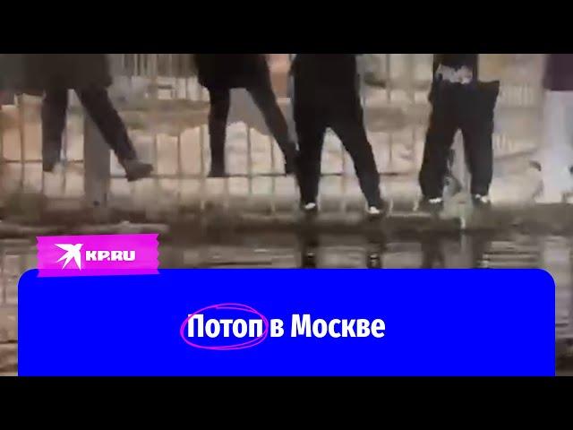 Потоп научил москвичей перемещаться над глубокими лужами