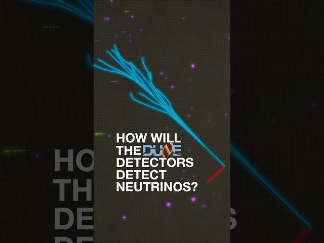 How will the DUNE detectors detect neutrinos?