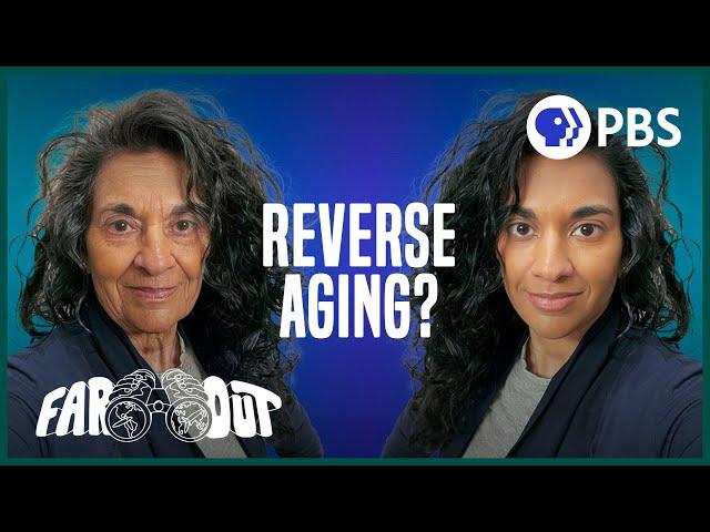 How to Stop (And Even Reverse) Aging