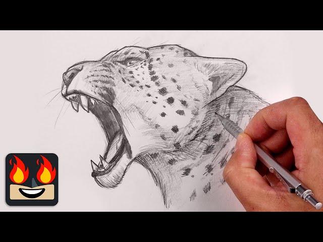 How To Draw a Leopard | Sketch Tutorial