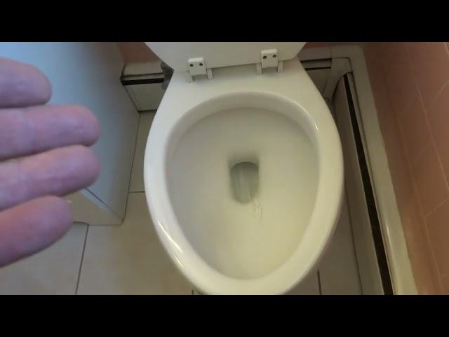 OLD LADY COMPLAINING OF A PERFECTLY FLUSHING TOILET