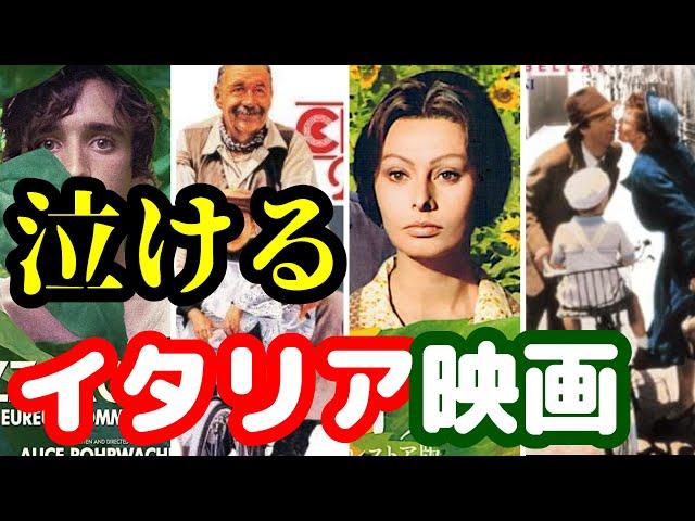 【号泣確定】泣けるイタリア映画４選【おすすめ映画紹介】【ひまわり】【ウクライナ】