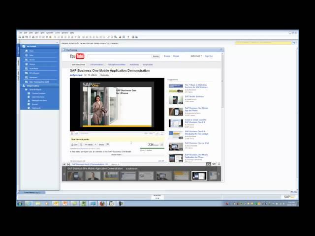 An Introduction to the SAP Business One starter package