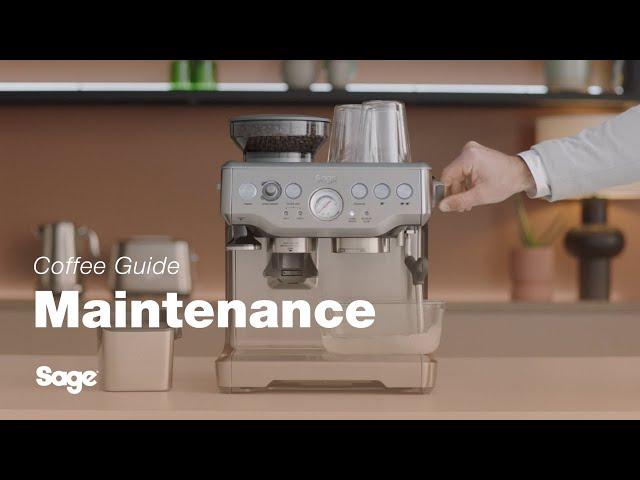 The Barista Express™ | Our tutorial on how to descale your espresso machine | Sage Appliances UK