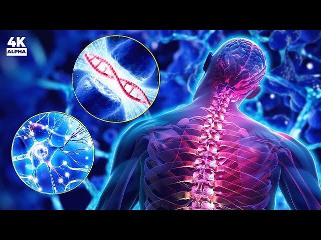 432Hz - Super Recovery & Healing Frequency, Whole Body Regeneration, Positive Energy Flow