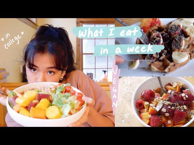 what i eat in a week as a college student  (vegan!!)