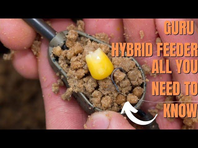 How to fish the GURU Hybrid method feeder to catch Carp - including tank test and rig setup.