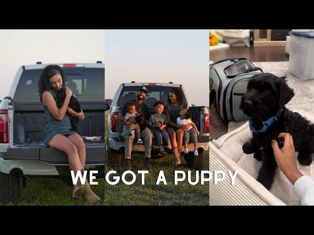 Spend the Day with Me | Getting a New Puppy + A New Truck | Mom of 3