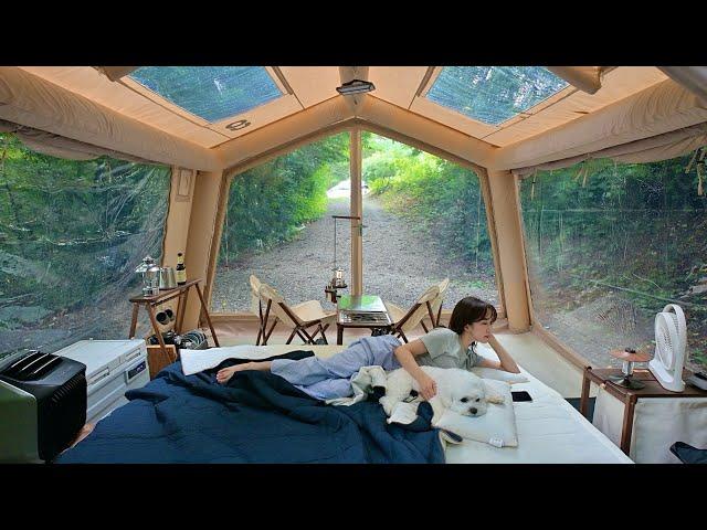 We built a cool glamping inflatabel cabin in the forest to stay with dog️