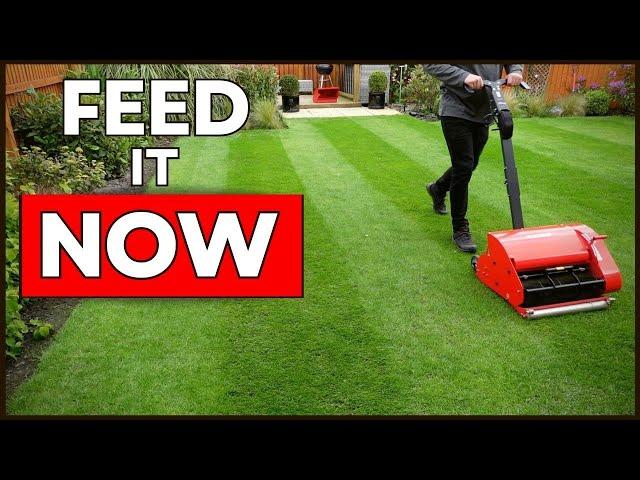 When to MOW and FEED a new lawn?