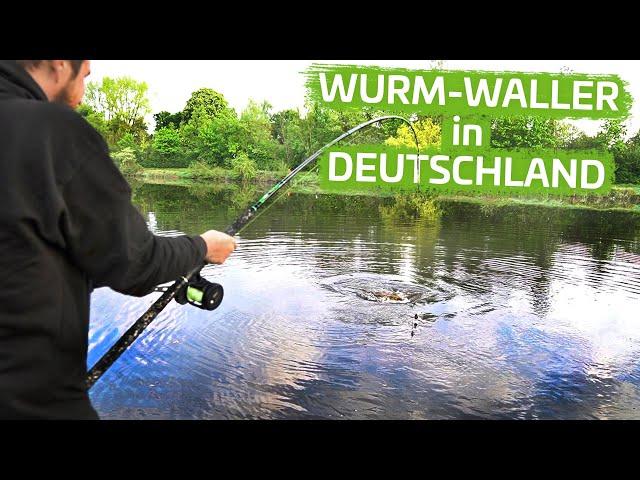 Mit Wurm auf Wels | Step by Step Fluss #3