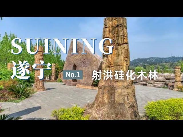 【遂宁旅行】来遂宁旅行，我不推荐这里！录了视频给大家看一下 | 射洪硅化木国家地质公园 | 走遍中国旅行vlog