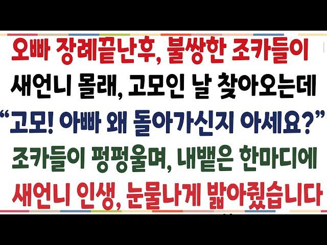 (반전신청사연)오빠 장례끝난후 불쌍한 조카들이, 새언니 몰래 고모인날 찾아오는데 조카들이 펑펑울며 날 찾아온 충격적이유! 말도안된 반전이!![신청사연][사이다썰][사연라디오]