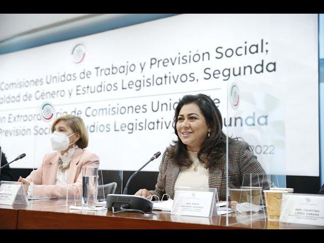 Senadora Nadia Navarro,  Ley del Seguro Social en materia de derechos de trabajadoras del hogar