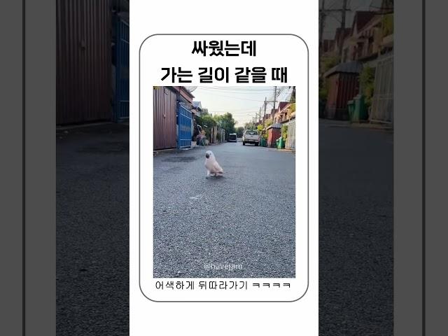 싸웠는데 가는 길이 같음 #shorts