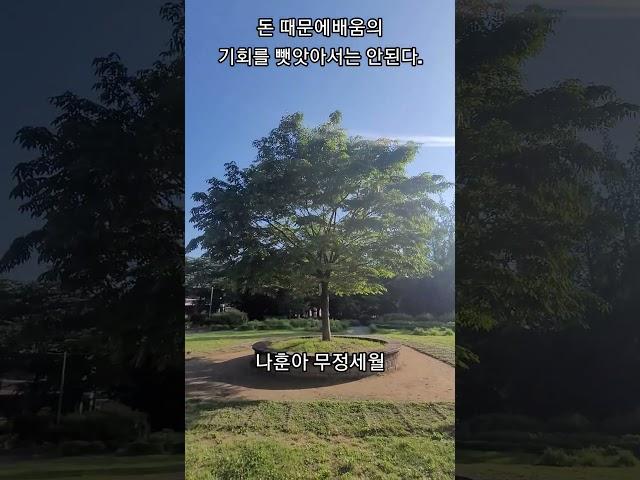 [나훈아 무정세월]오늘도 누구나 공평하게 세월은 간다#감사 #트로트 #