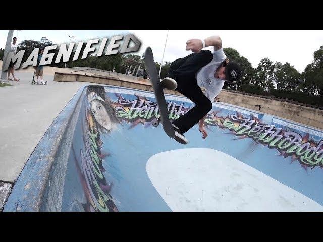 Magnified: Tom Schaar
