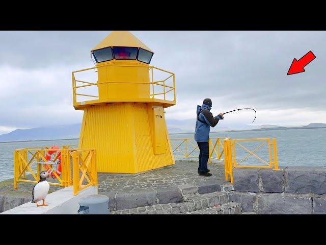 Fishing a Lighthouse Pier When Something CRAZY Happened! *ICELAND Fishing Experience*