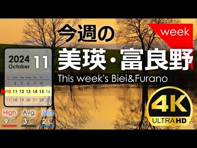 [This week's Biei/Furano] Late autumn scenery Week  of November 2024