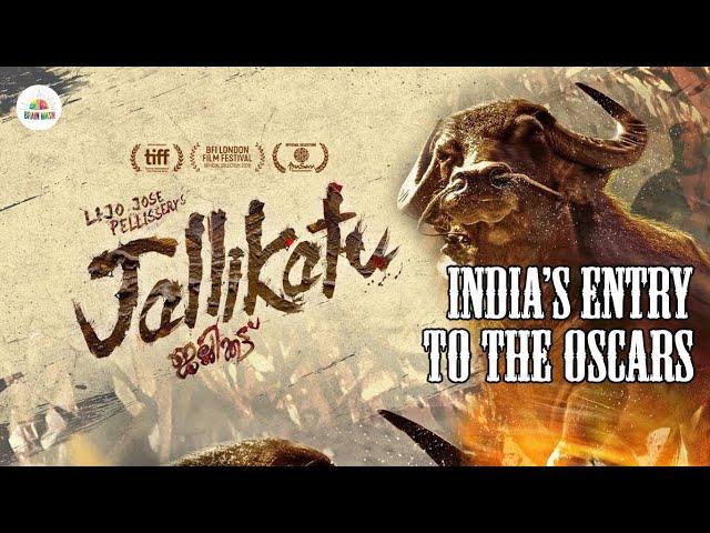 Jallikattu goes to the Oscars | Brainwash