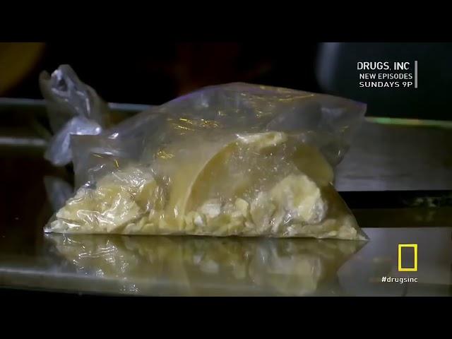 Windy City High | Drugs, Inc | National Geographic HD