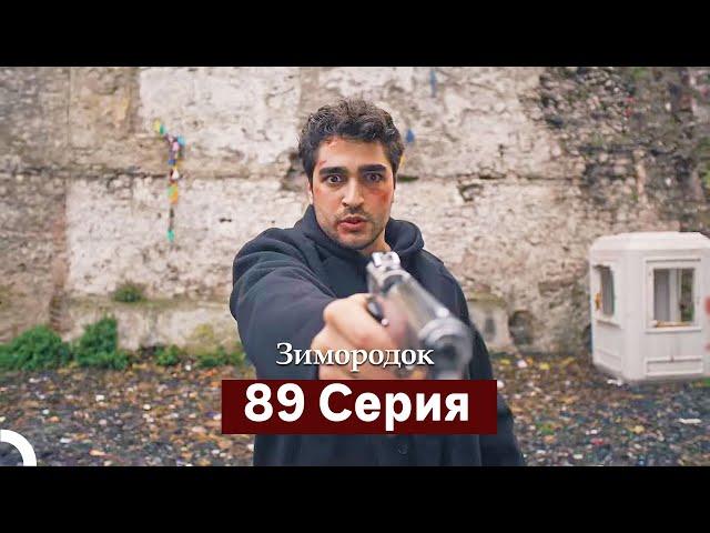 Зимородок 89 Cерия (Русский дубляж)