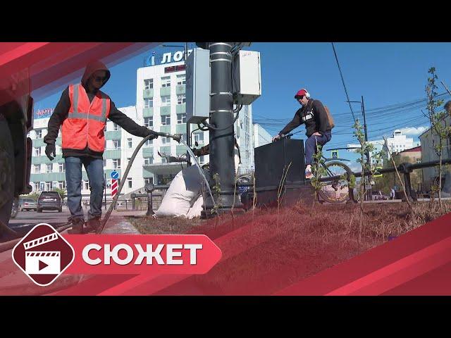 Работы по озеленению начинаются в Якутске