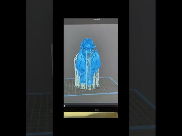 Весь процесс за минуту! Дракоша на 3д принтере