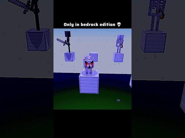 Only in bedrock edition  #minecraftshorts