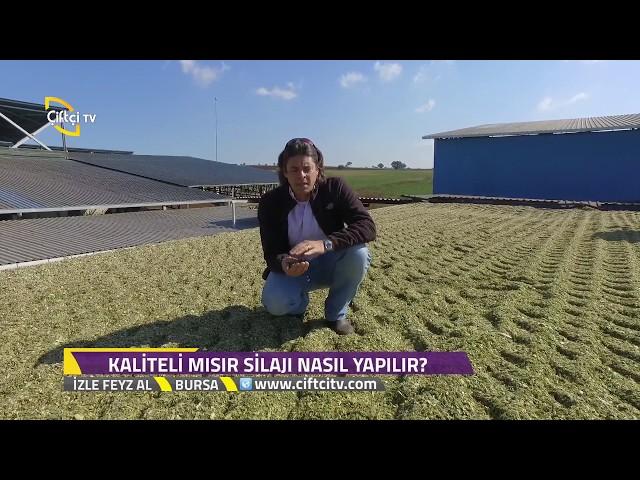 İzle Feyz Al / Kaliteli Mısır Silaj Nasıl Yapılır?