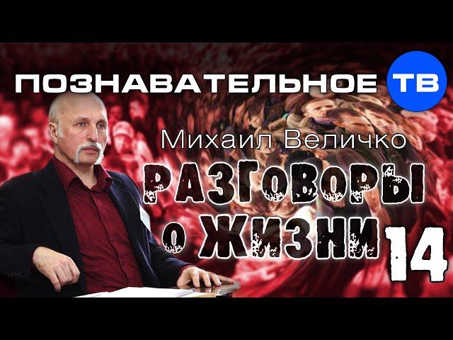 Разговоры о жизни 14 (Познавательное ТВ, Михаил Величко)