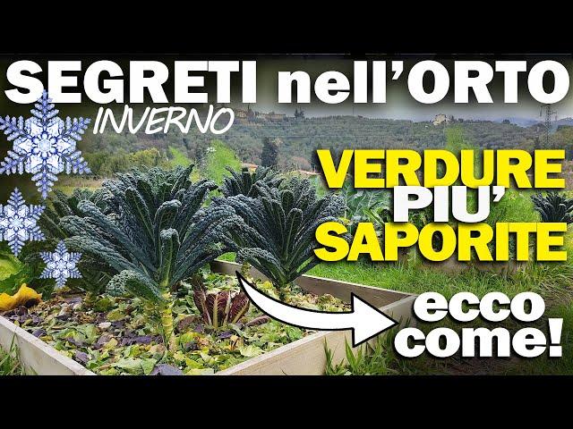 COLTIVARE col FREDDO VERDURE più SAPORITE !!! I SEGRETI dell'ORTO D'INVERNO