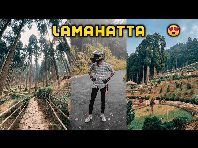 Siliguri To LAMAHATTA  Bike Ride | Lamahatta Eco Park ️ Darjeeling