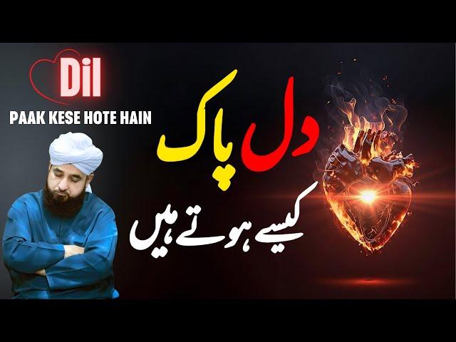 Dil Paak Kese Hote Hain || Muhammad Raza Saqib Mustafai