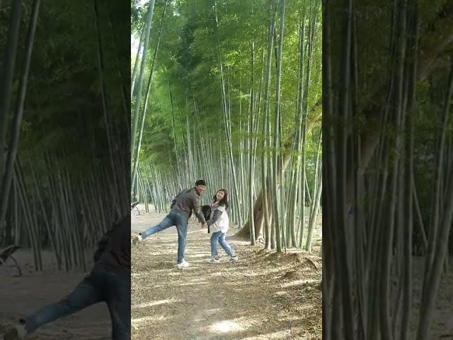 전라도대나무숲어딘가너와나