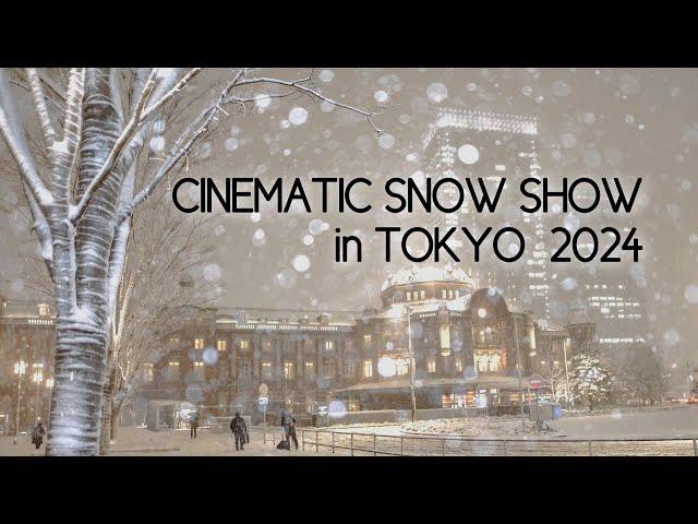 CINEMATIC SNOW SHOW in TOKYO 2024 東京の雪景色