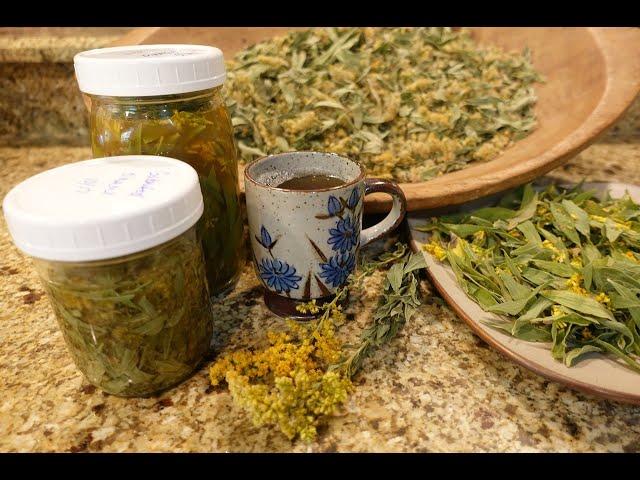 3 Ways to use Goldenrod | How to Harvest & Make Goldenrod Tea, Infused vinegar & Infused Oil