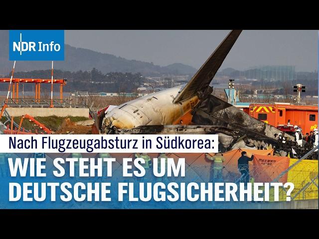 Flugzeugunglück in Südkorea: Welche Maßnahmen werden gegen Vogelschläge getroffen? | NDR Info