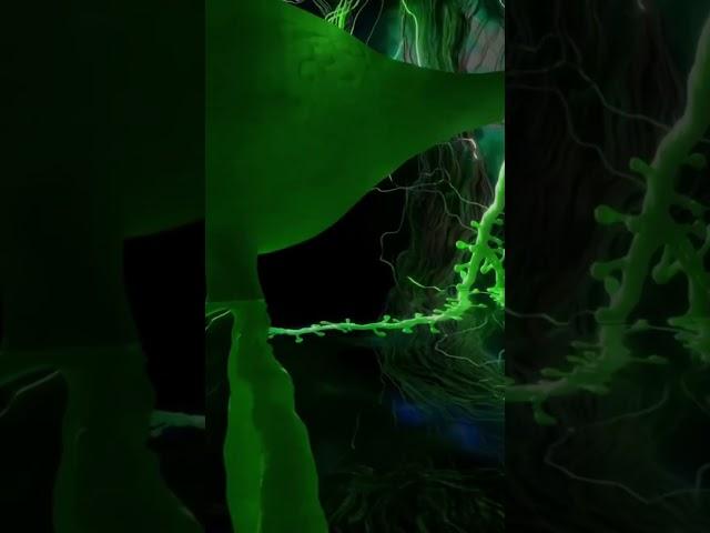 Artechouse NYC #immersiveexperience #artechouse #thingstodonyc #nyc #trippy #multisensory