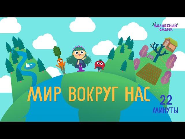 Мир вокруг нас  | СБОРНИК СЕРИЙ | Волшебный Садик