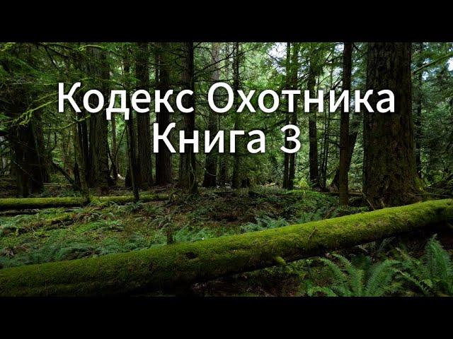 Кодекс Охотника Книга 3: Увлекательная аудиокнига для настоящих фанатов!