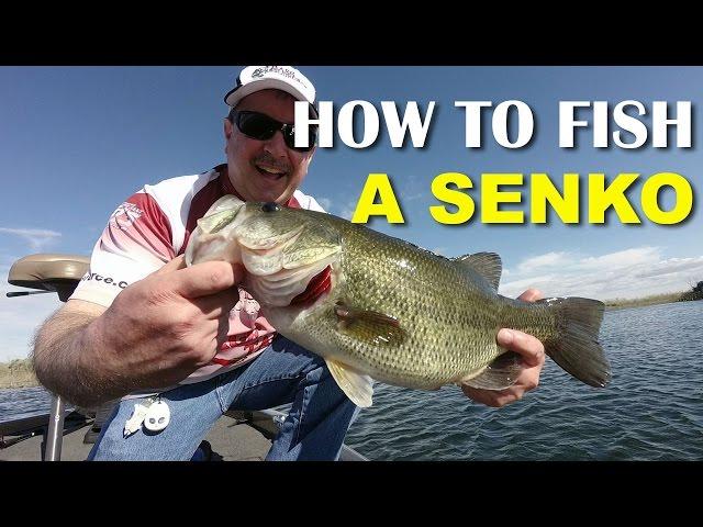 How To Fish A Senko | Bass Fishing