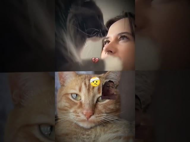 Wiz cat