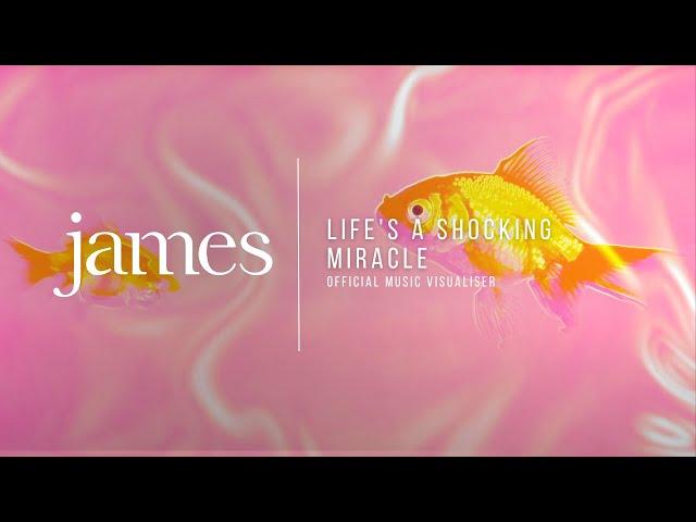 James - Life's A Shocking Miracle (Official Video)