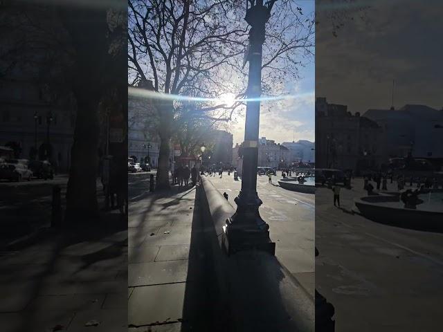 Trafalgar square #london #travel #new #vibes #sunset #like #shortvideo #short #peace #canada #usa