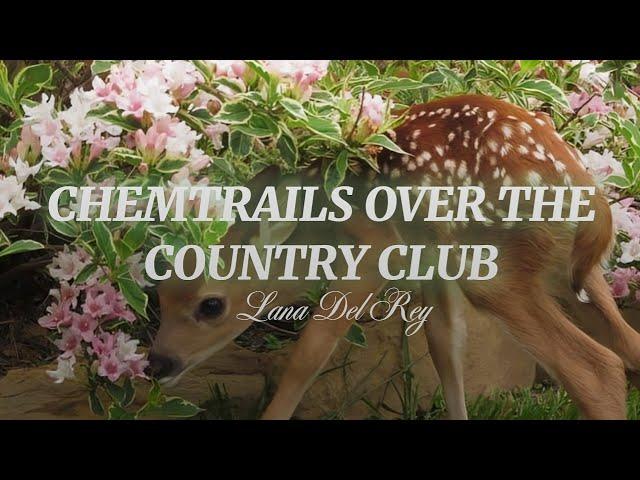 Lana Del Rey - Chemtrails Over The Country Club (dreamy version + lyrics)